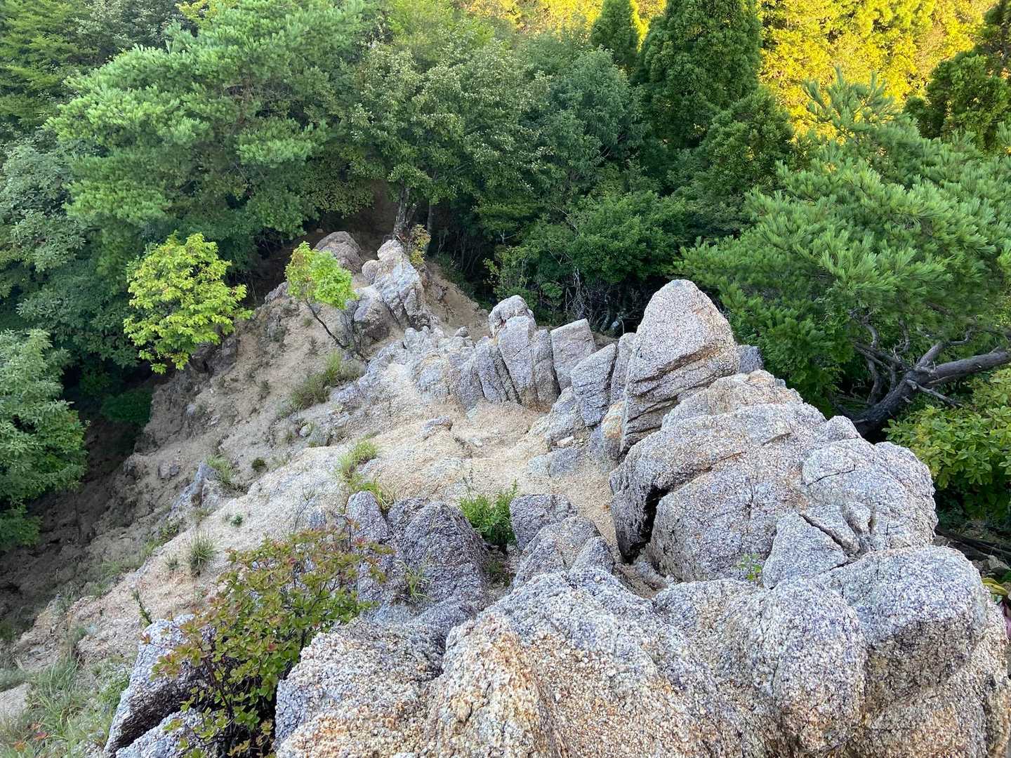 武平トンネル西登山口-武平峠-鎌ヶ岳 往復コースの写真