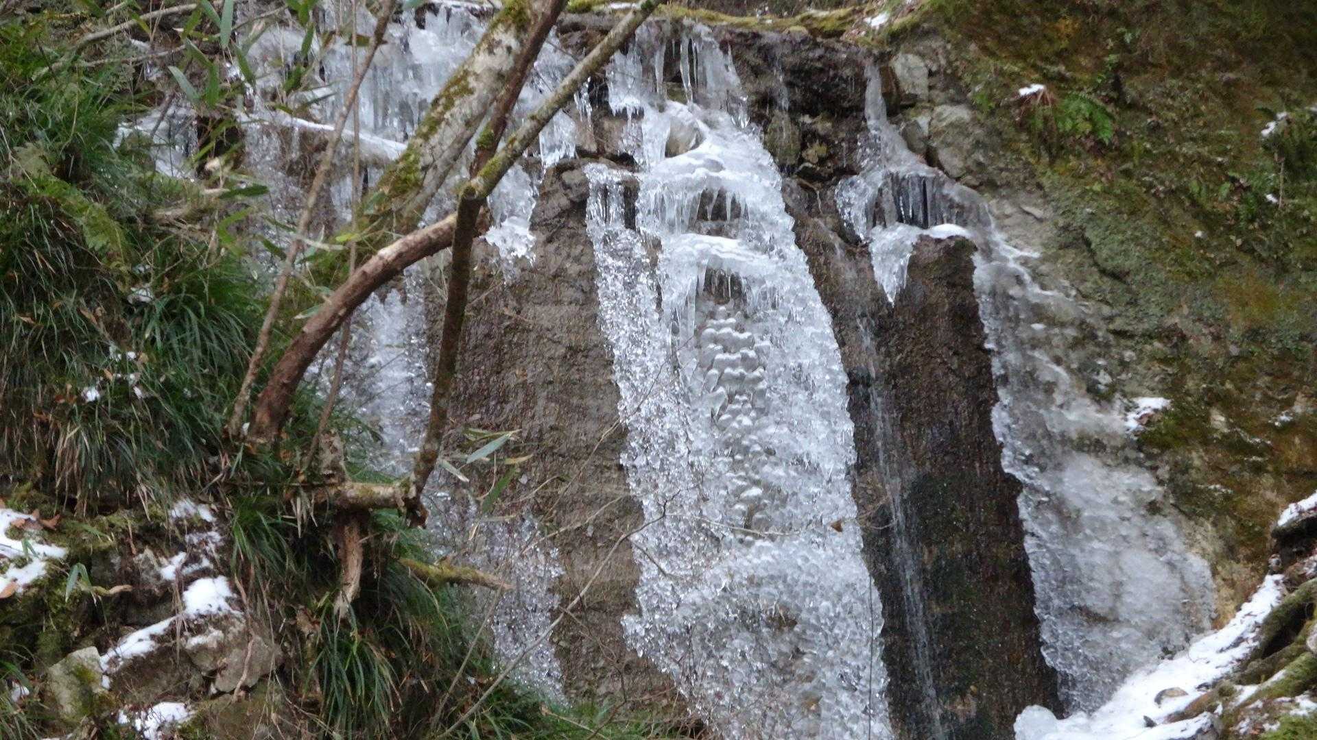 金剛山（もみじ谷-太尾尾根）の写真
