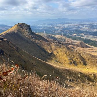 このダイナソー感ほんとすき