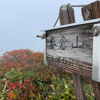 いつかは晴れる！
その時を信じて、先へ進みます。