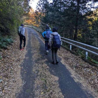 今日は賑やか、5人で出発✨
しばらくは舗装道を歩いて、ツツジ山登山口へ