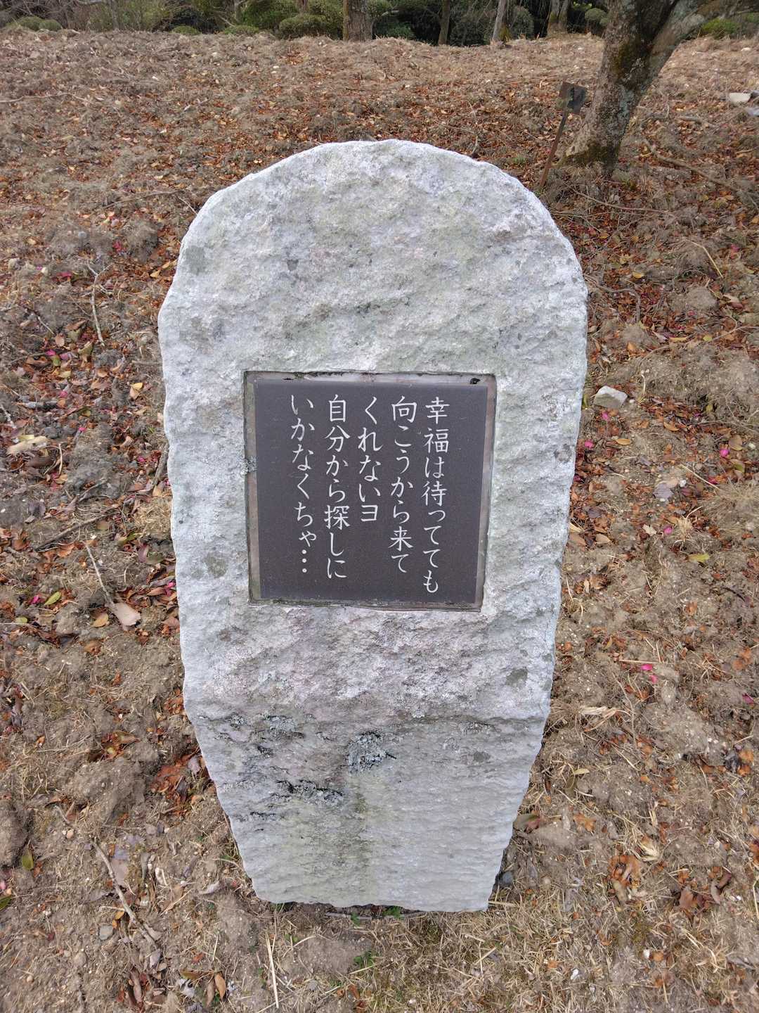 その通りですね