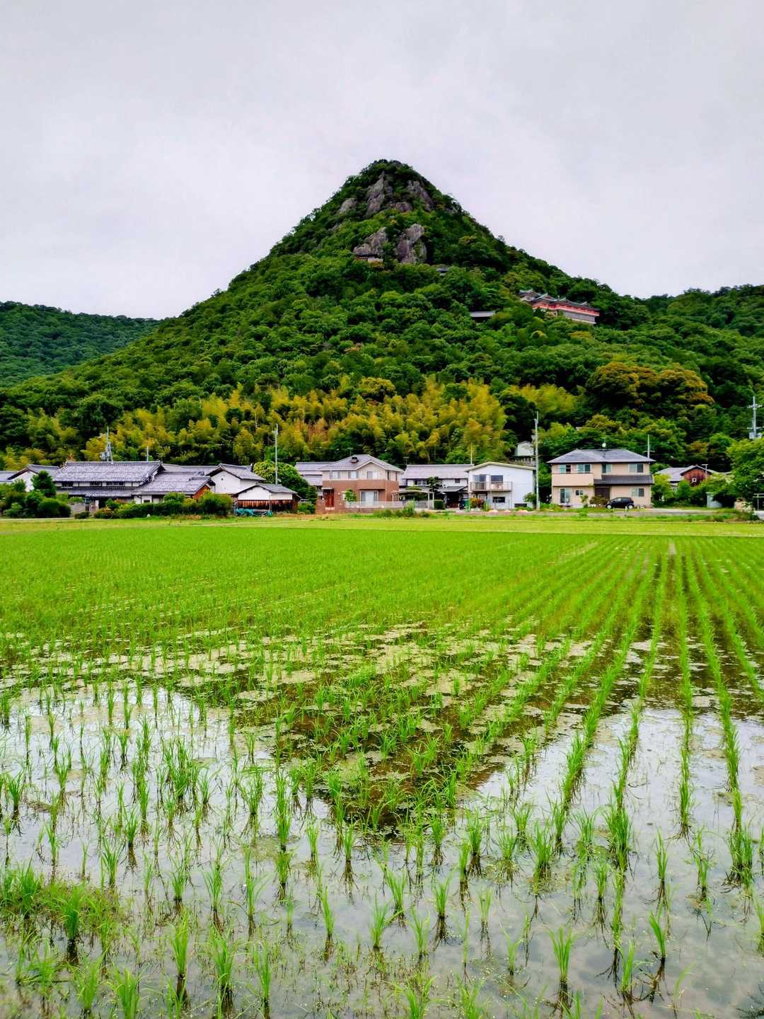 逆さ太郎坊
