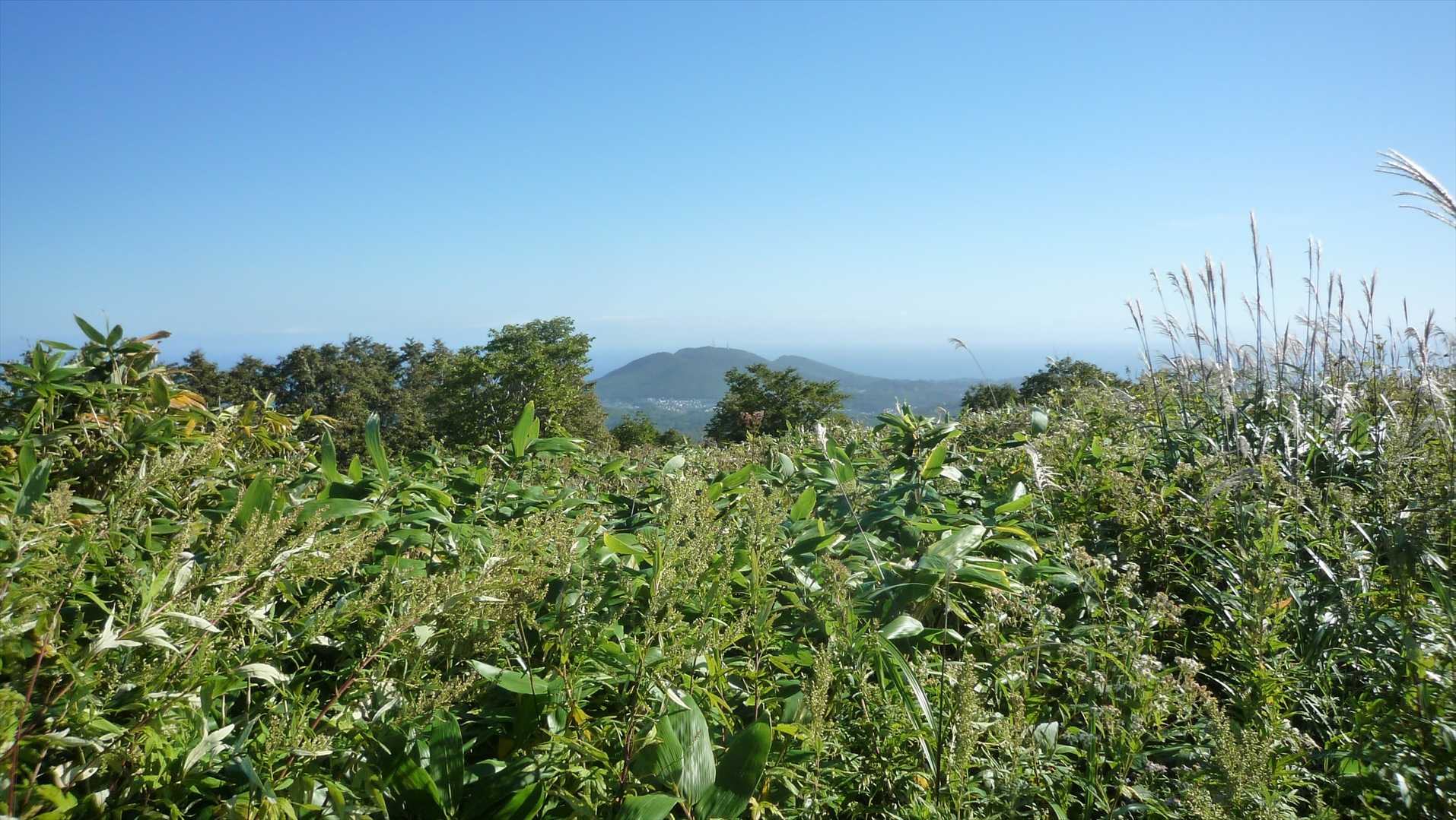 赤岩山のよう