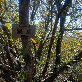 ⑩⛰️鍋山