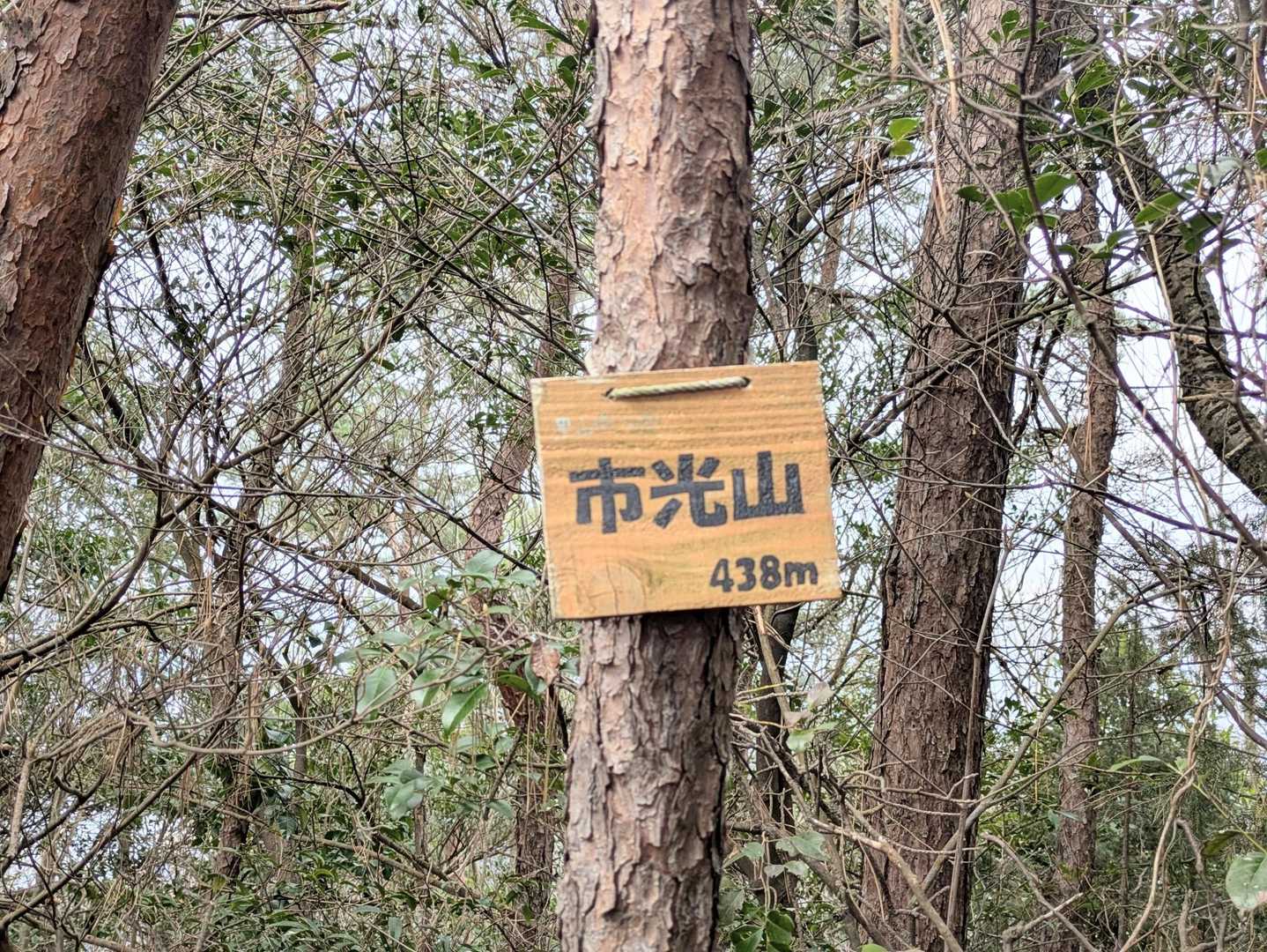 「市光山」