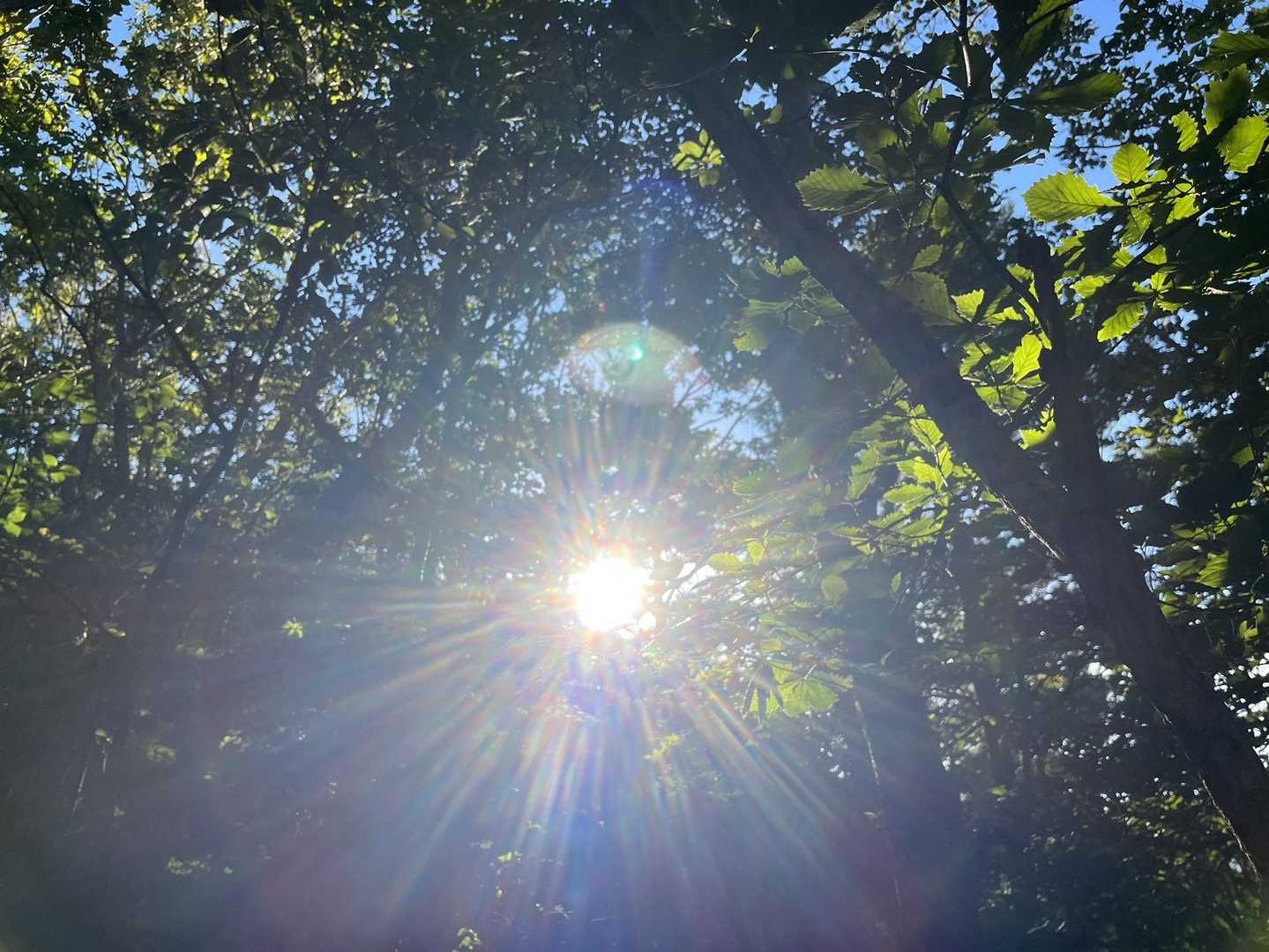 眩しい😊