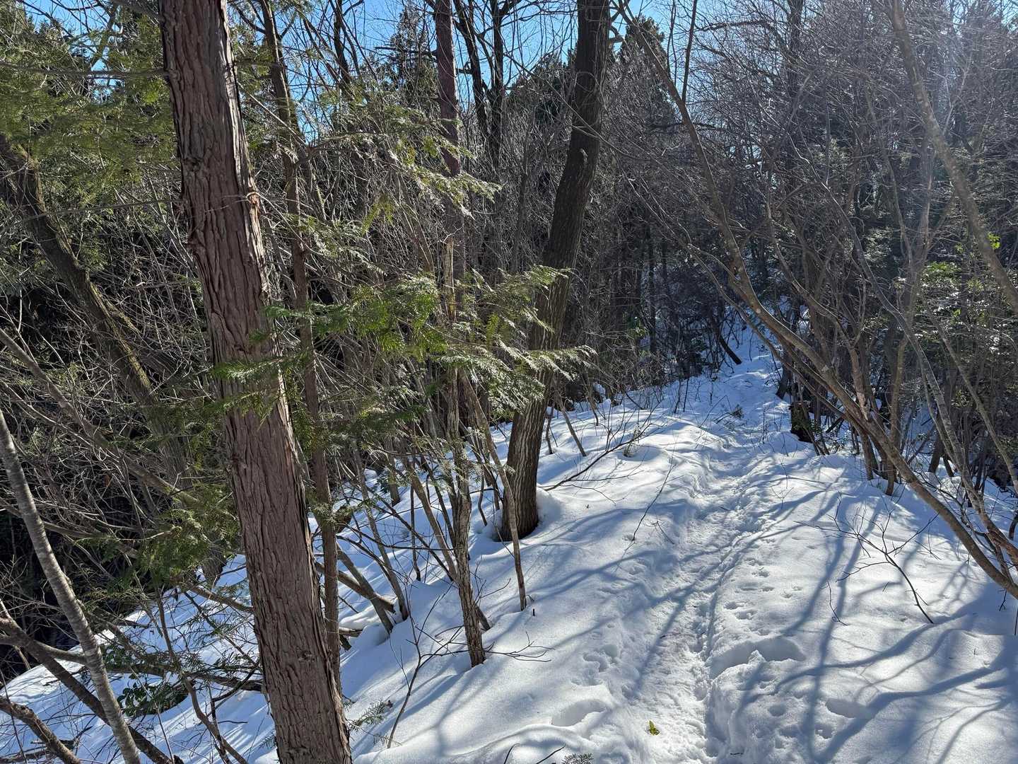 天気が良い冬の雪のある山登りほど楽しいものはない😆