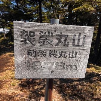 最後の山頂直下だけ急登であとは終始歩きやすいトレイルでした👍