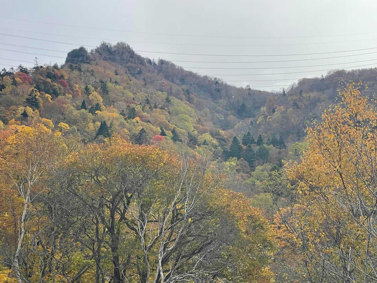 無事下山
今日もありがとうございました😊