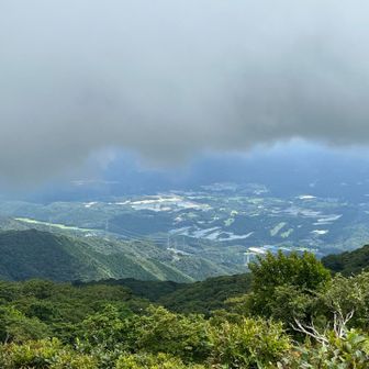 距離稼ぎに🐿️ポイントまで戻り、しばらく待ったけど遠〜くにしか確認出来ず、スマホでは撮影無理でした🥲