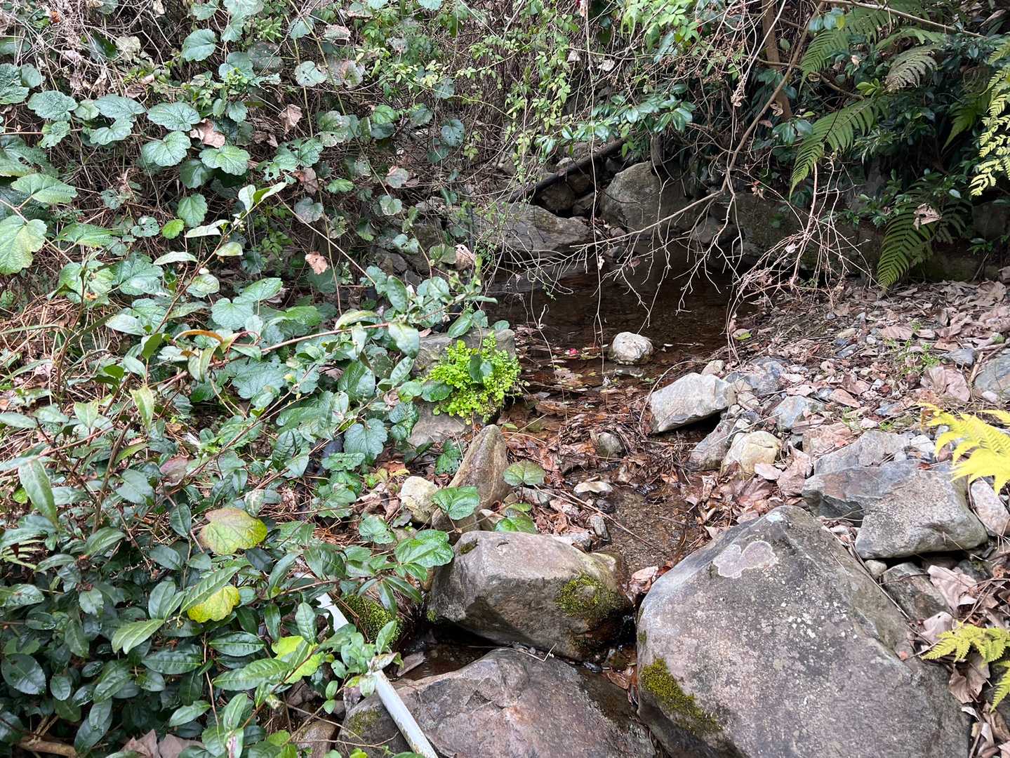 綺麗なお水💧