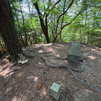 青根ヶ峰山頂