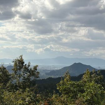 木製展望台から、比良側