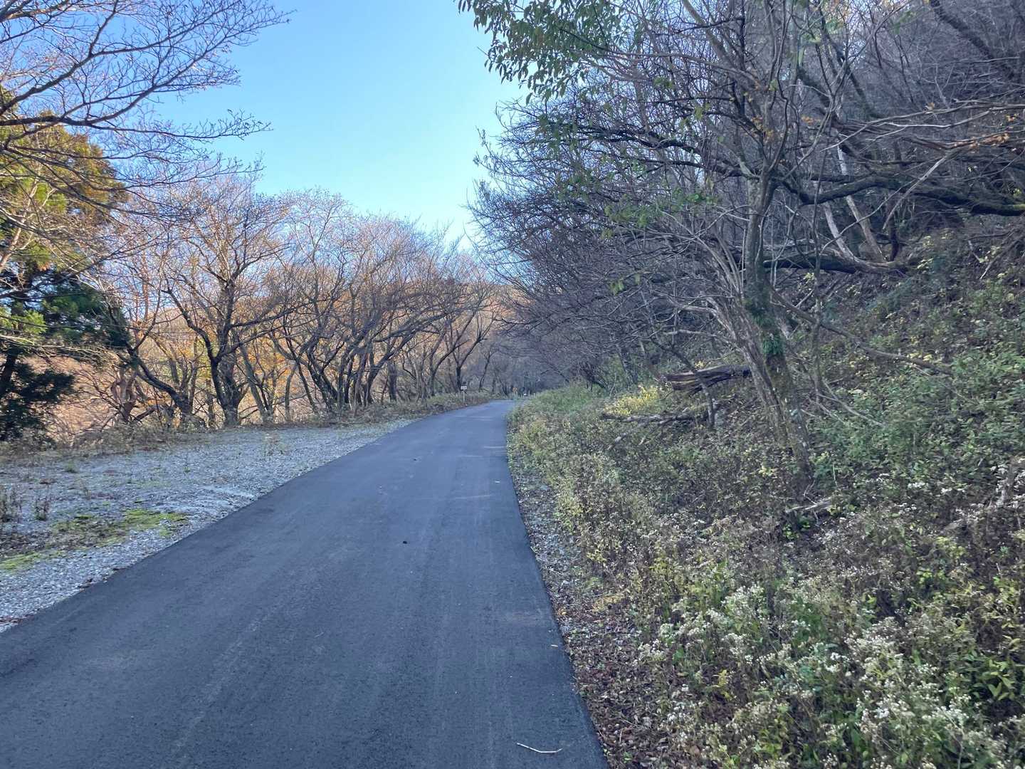 今日は強風予報がドンピシャ。後ろから車来た⁈👀って何度も振り返るほど風巻いた音がしてた。