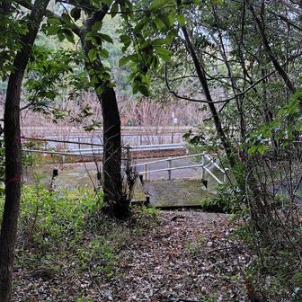 中国道見えました。