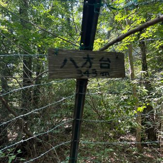 「八方台343m」山頂標識