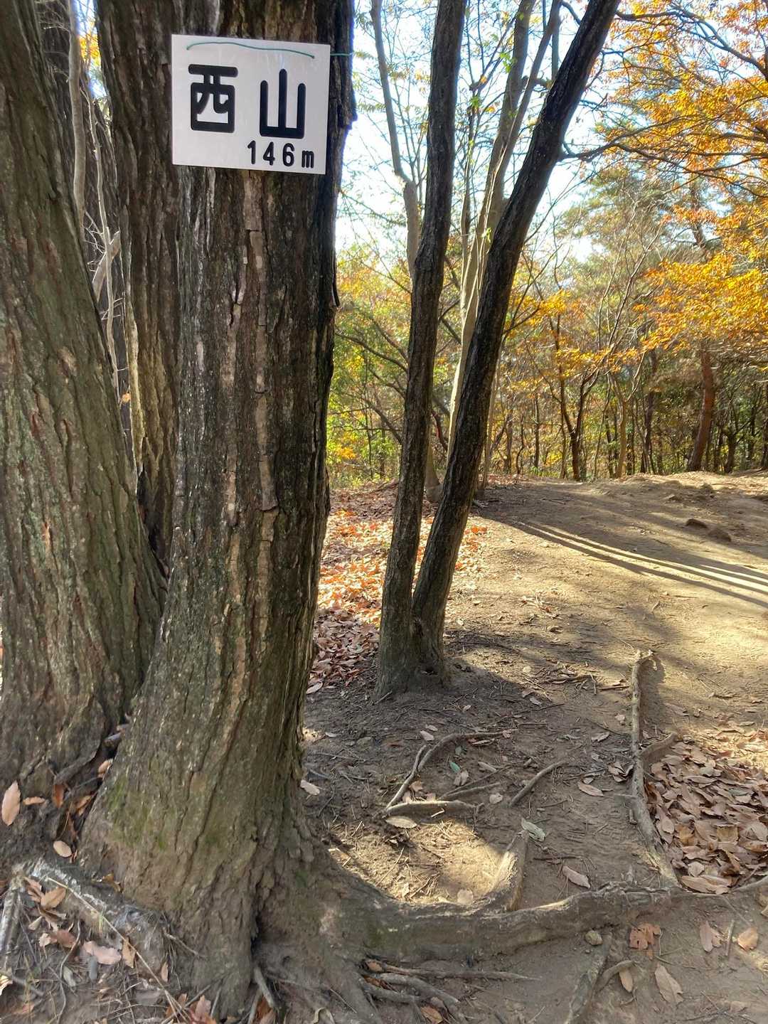 西山　１４６m