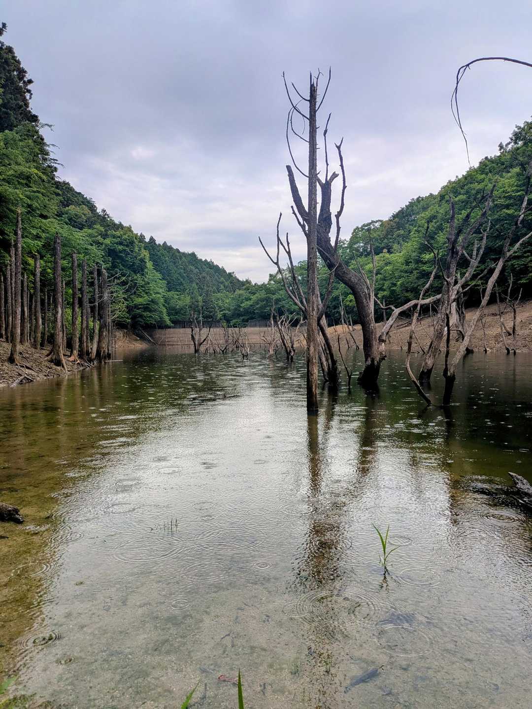 突然現れた砂防池