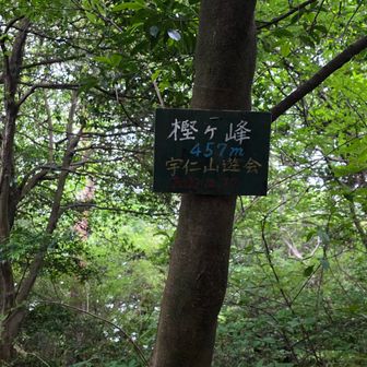 樫ヶ峰到着