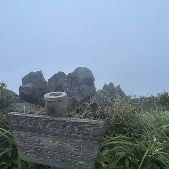 夜景見えてた方角もガスガス😅
