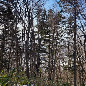 夏場どころか、冬も景観は望めず