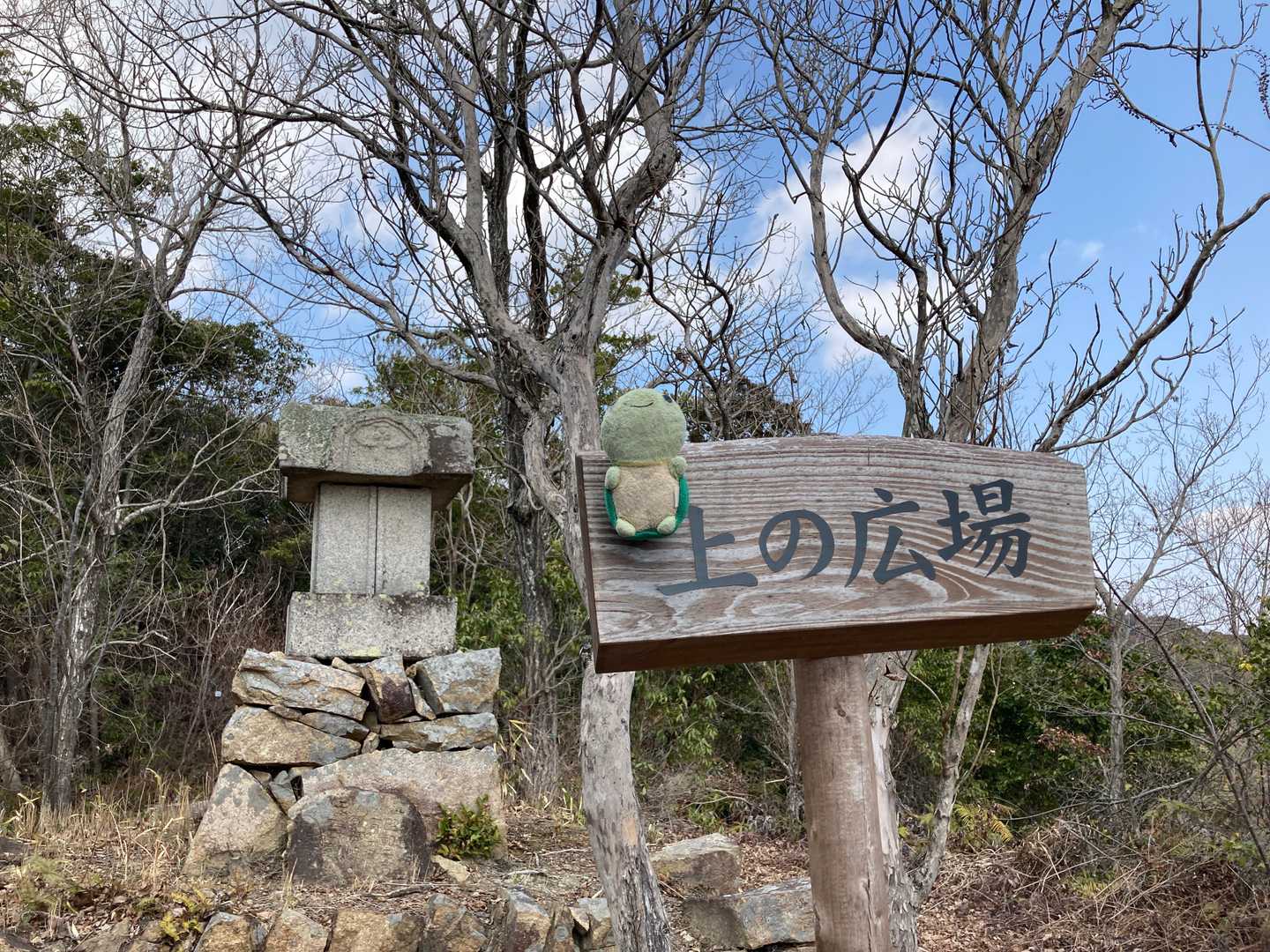 とりあえずここでかめさん📷