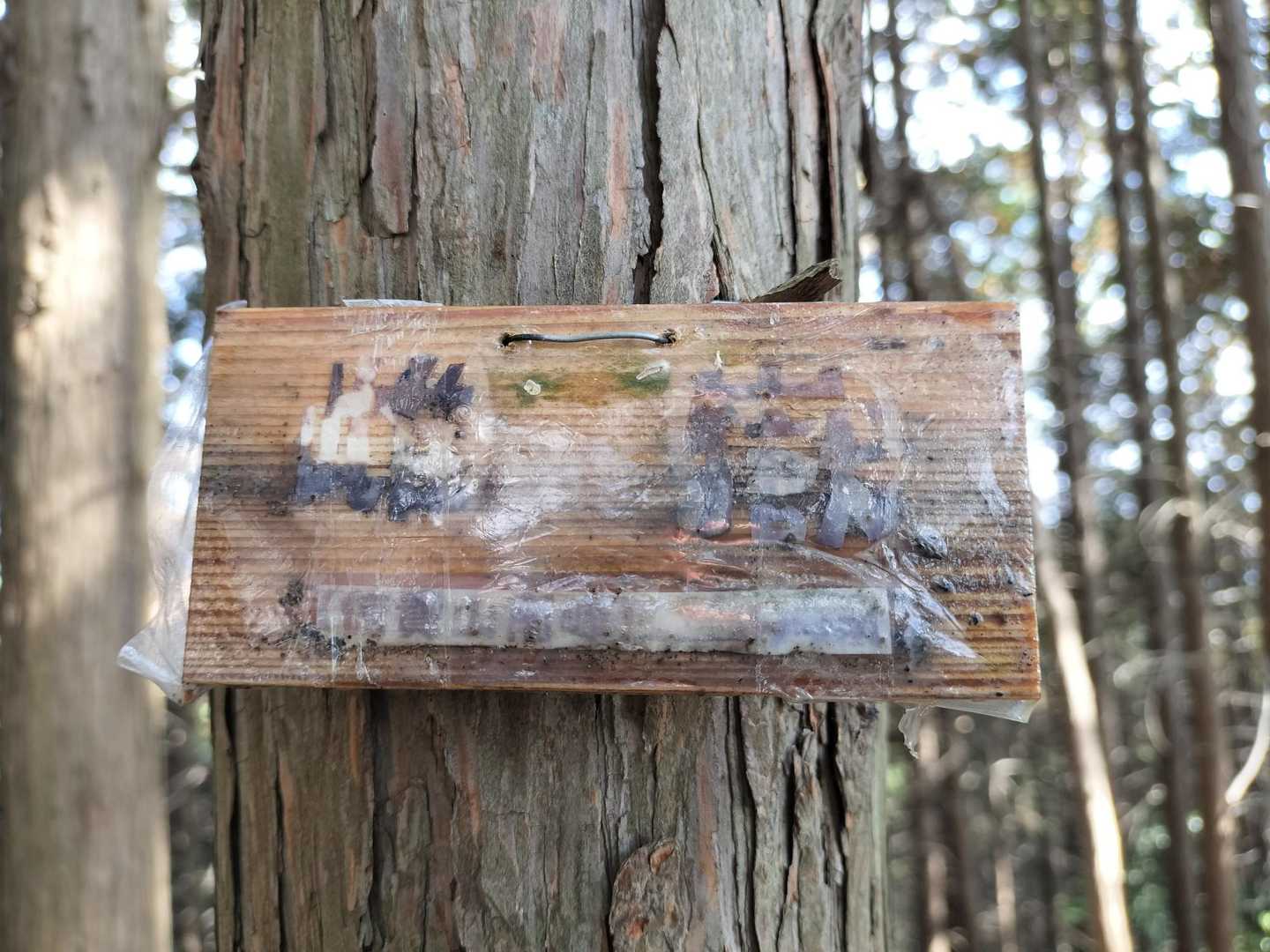 雌岳（399ｍ）にも立ち寄ったけれど山名板はこれしかなかった😅ほとんど文字が読めない😅