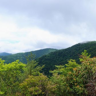 上福根山 前福根山近くに見えるけどぐるっと回り込む登山道で遠い 