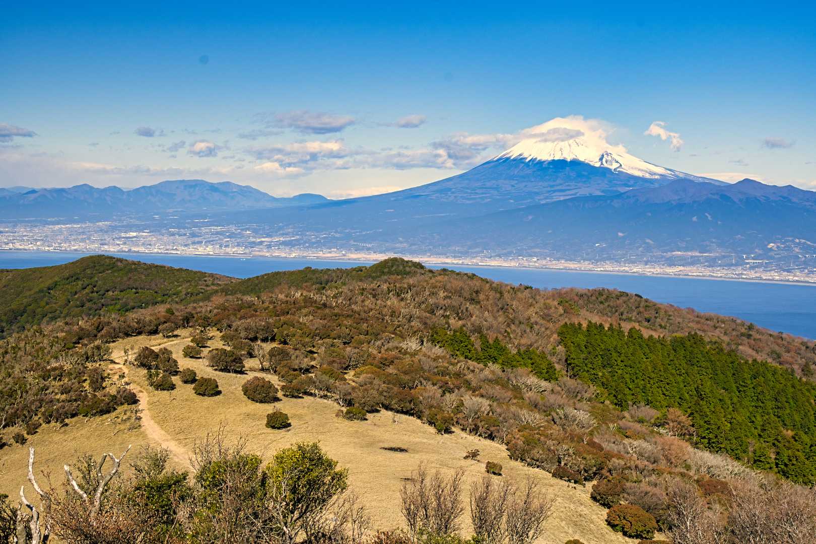 大曲茶屋バス停-伽藍山-古稀山-達磨山-金冠山 縦走コースの写真