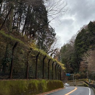 道路沿い少し歩きます