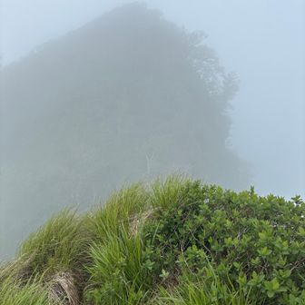 あそこかな西峰

奥のではありません