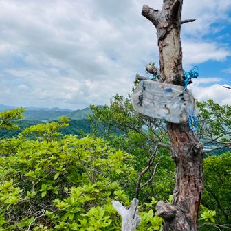 東大岩ヶ岳到着