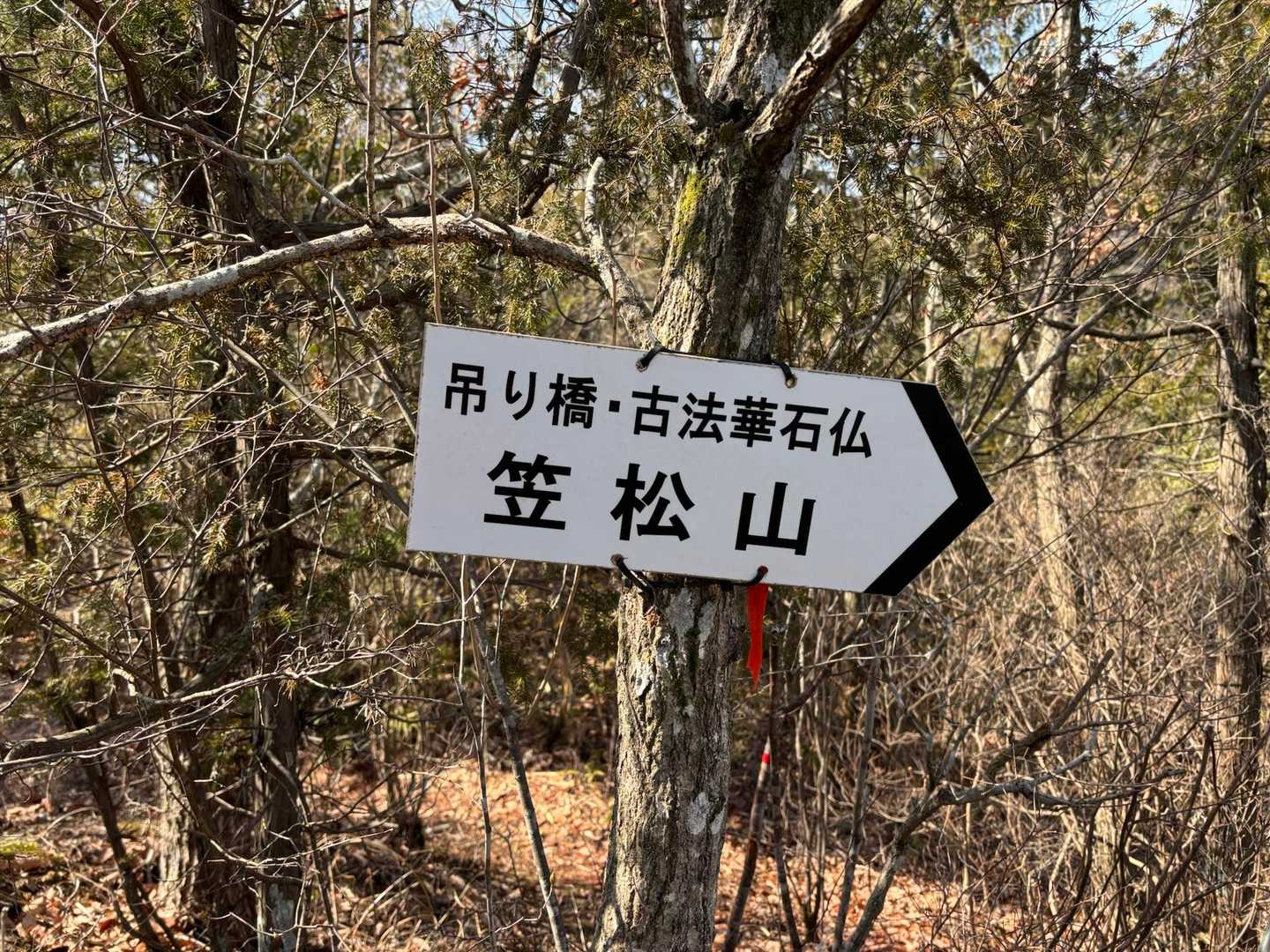 吊り橋方面へ
