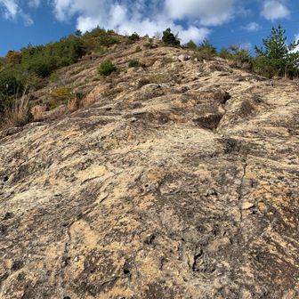 急登‼︎w
スキー場のモーグルエキスパートコースのような凸凹した急斜面の登り💦