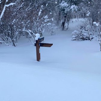 とうとう本線には誰も足を踏み入れてない
スノーシューもないので、ここは省いて、ロード歩きすればいいかと、ロードを目指す