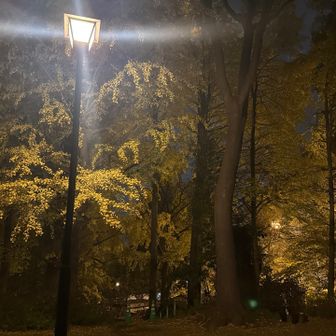 上野公園のグレーピーク🩶
摺鉢山に登頂🏔️
標高は24m