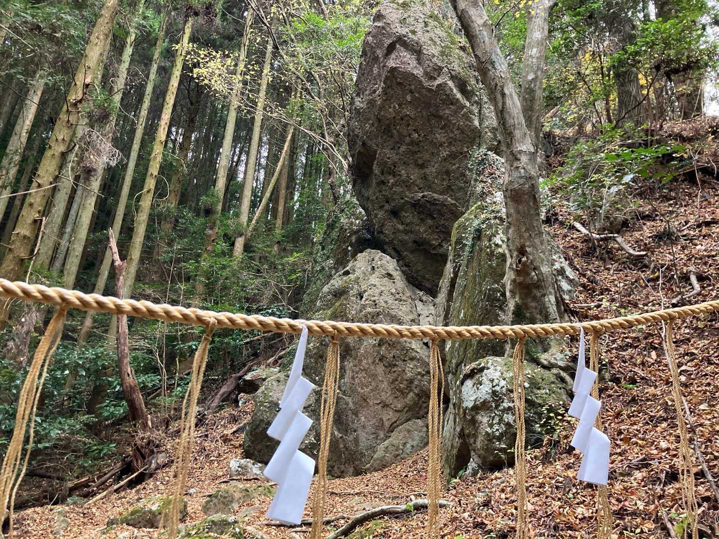 磐座
新しいしめ縄