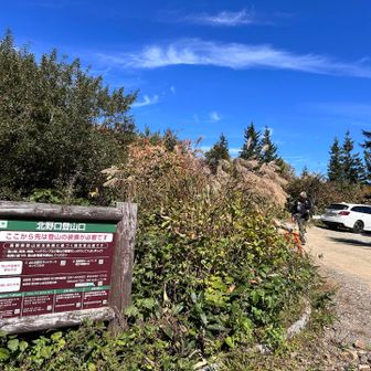 北野口登山口。Googleで、案内された場所は一本違う道でした。
途中の分岐に看板があるので、そちらに従って行かないとダメ🙅‍♀️です。