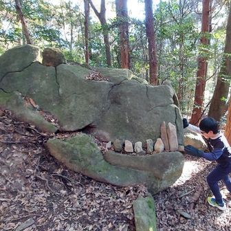 🦖戦え、次男！