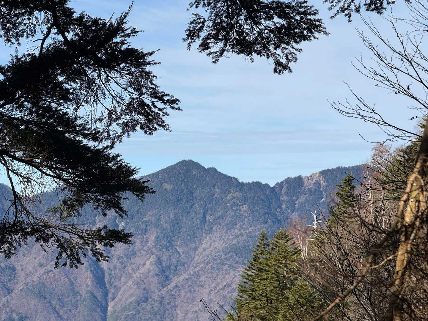 誰か登ってるかな？