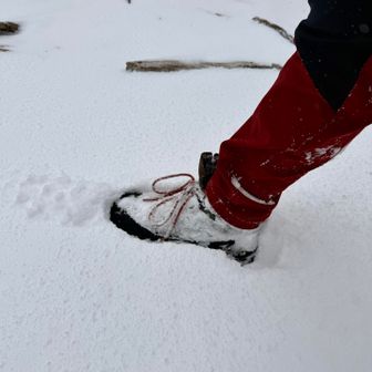 積雪はこんなもん。深いところでも足首くらいまでだったかな。