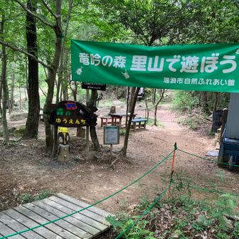 森のゆうえんち
かわいいなー
奥にぼうけんコースと言うかんたんなハイキングコースがありました。
もちろん童心で歩いてきたよ。