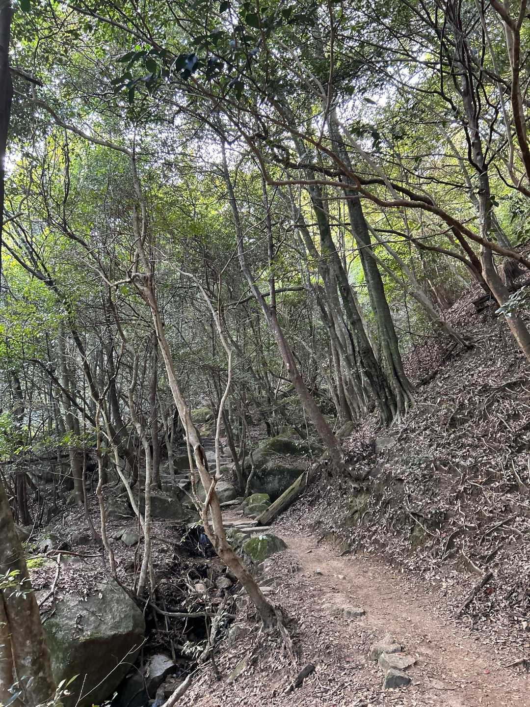弥山登山道入口-弥山 往復コースの写真