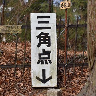 で、これか。
「妙見山」の標識より「三角点↓」の看板の方が25倍ぐらい大きい😅