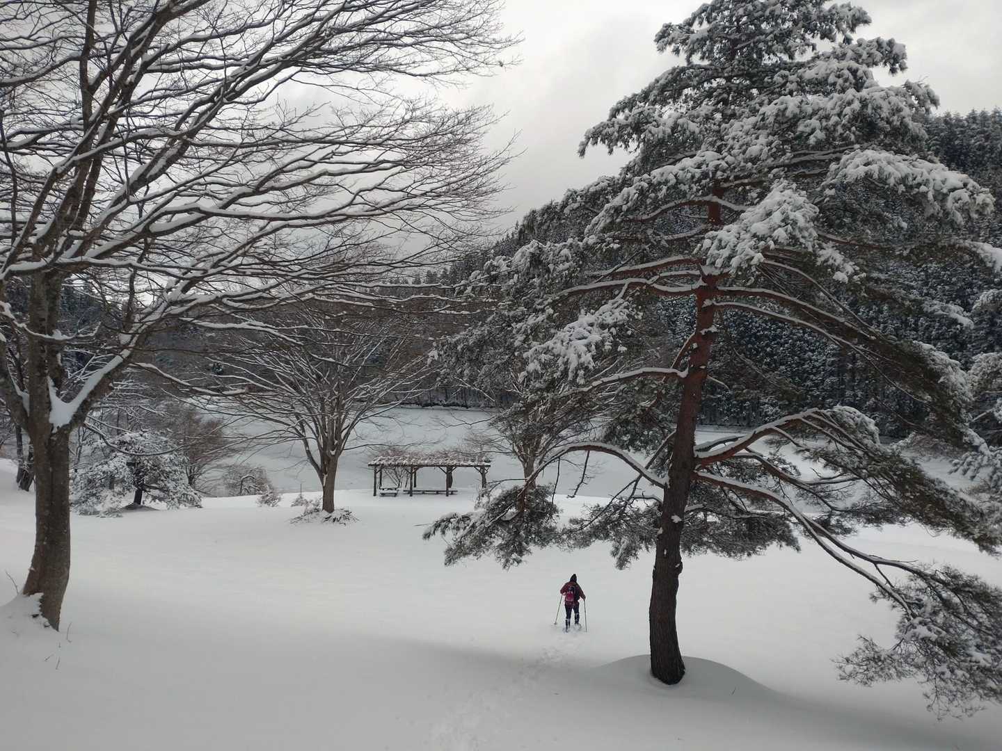巫女窪沼に寄りました