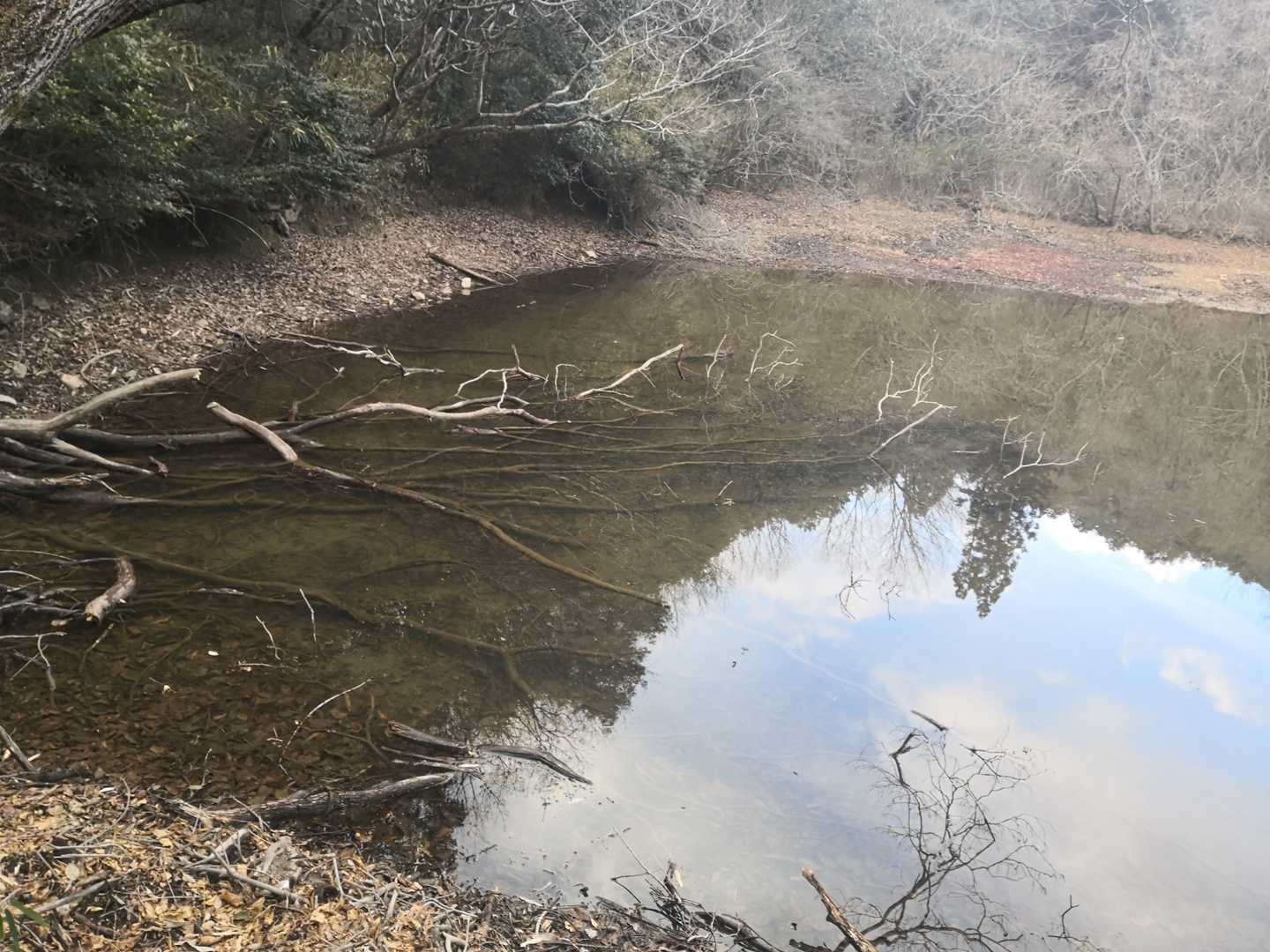 南登山口-松鞍山 周回コースの写真