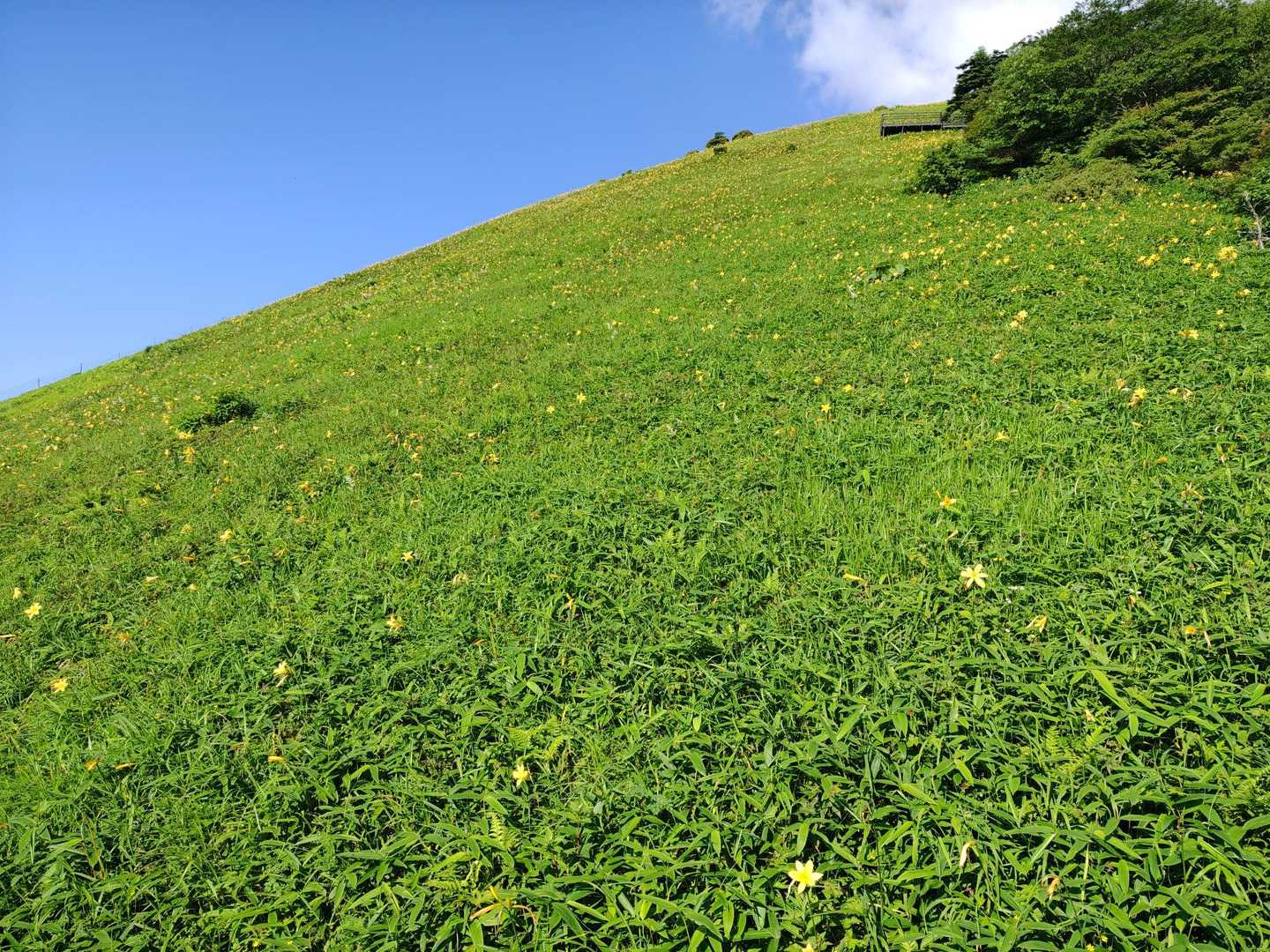 霧降高原レストハウス-赤薙山-丸山 周回コースの写真