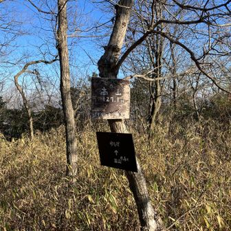 高山スイスイ〜