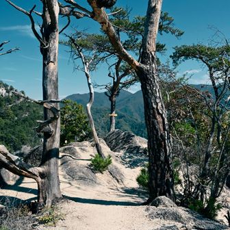 白砂山